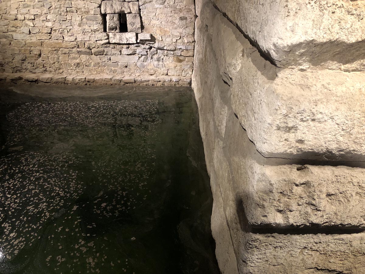 Ubiermonument und römische Stadtmauer stehen bei Rheinhochwasser im Wasser.